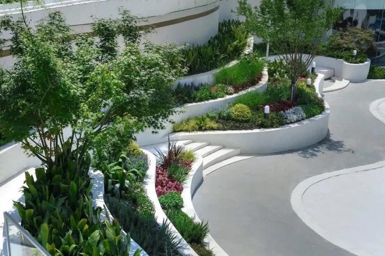 煙臺(tái)泰安民宿樓頂花園綠化設(shè)計(jì)